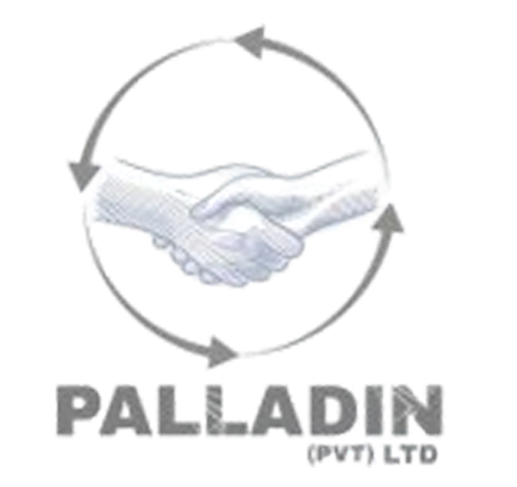 Palladin Logo